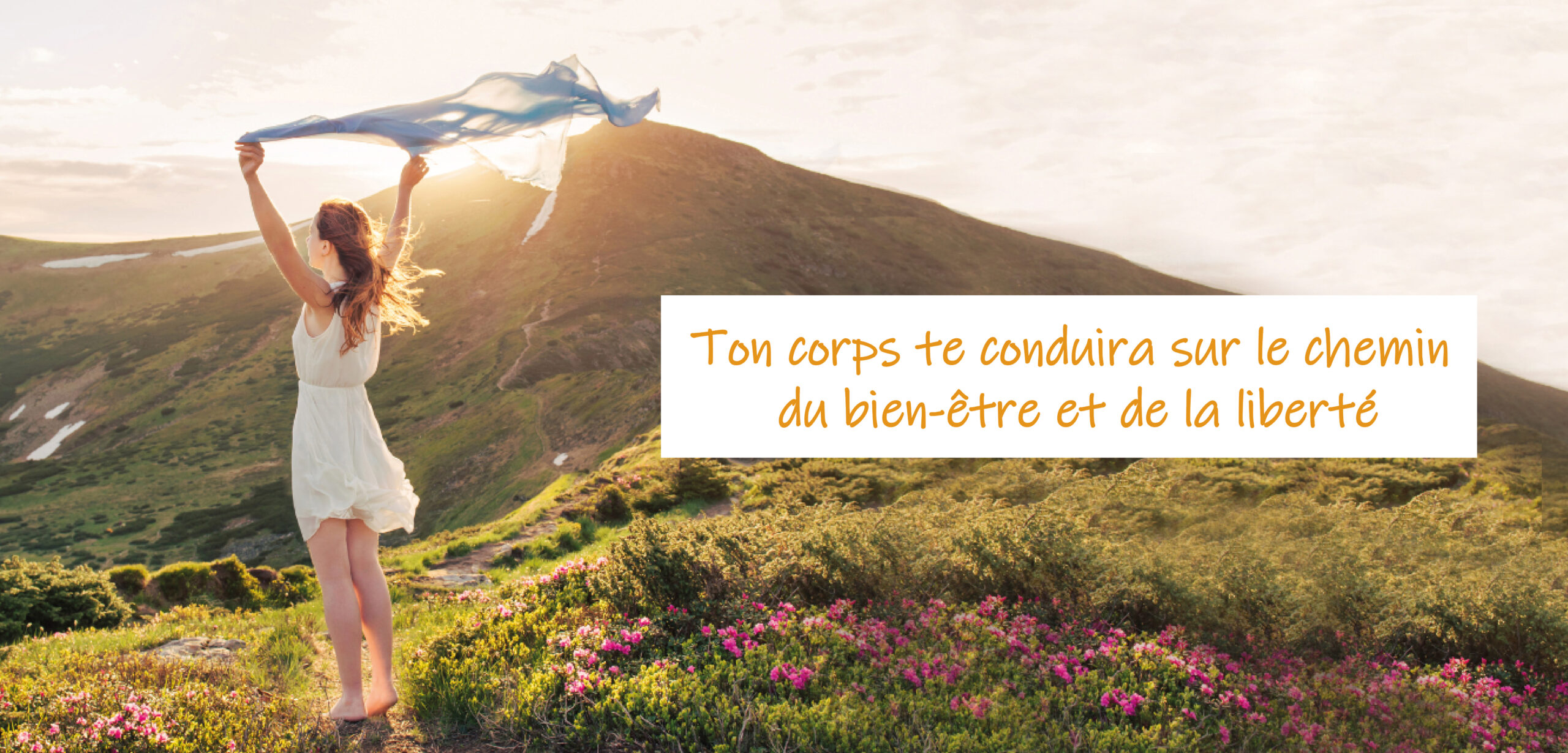 accompagnement sur mesure 7 seances lingolsheim paix interieure