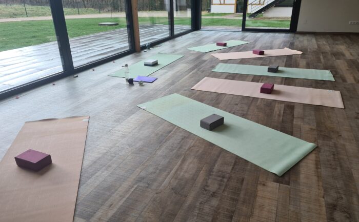 atelier collectif alsace bien être yoga